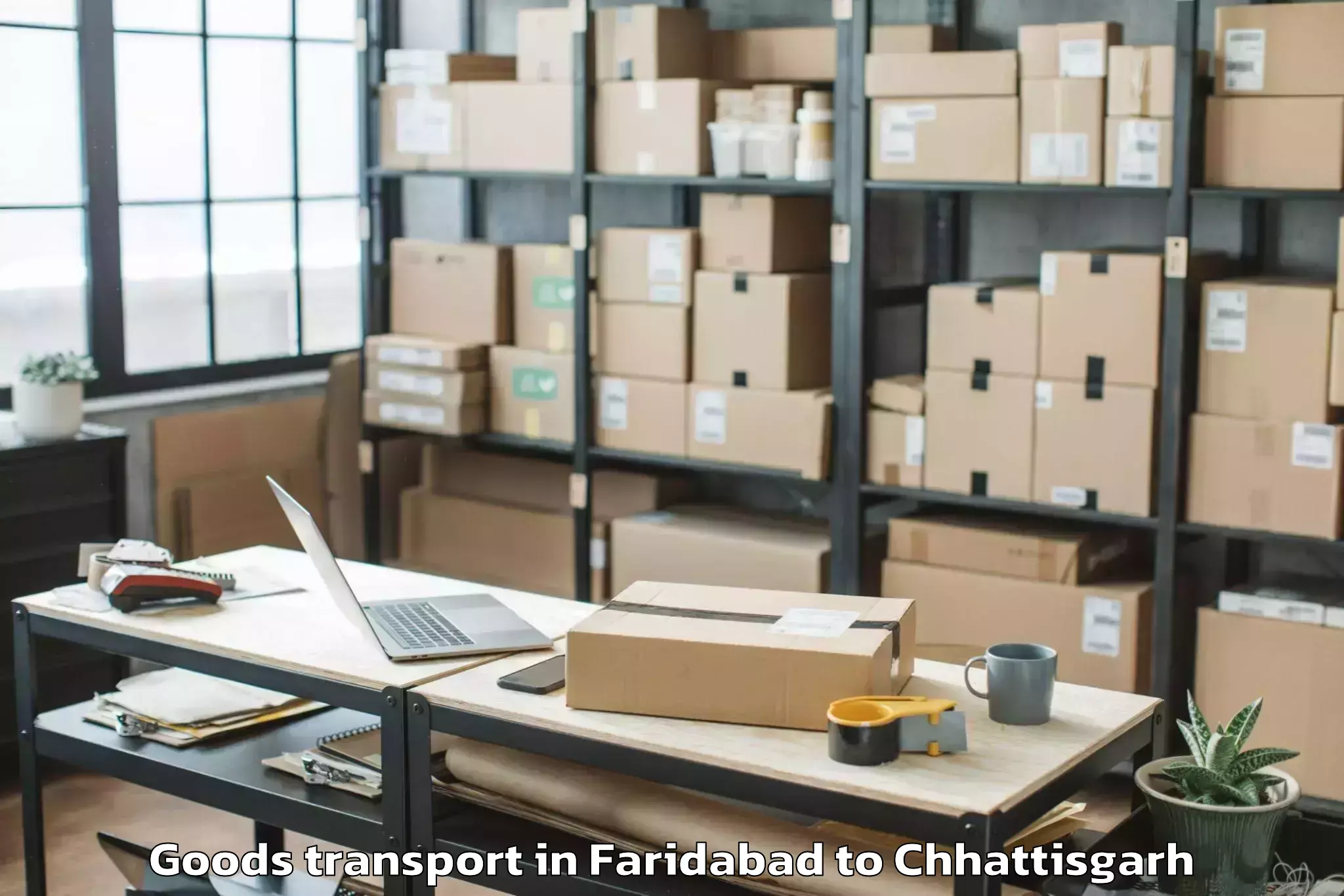 Book Faridabad to Sirpur Goods Transport Online